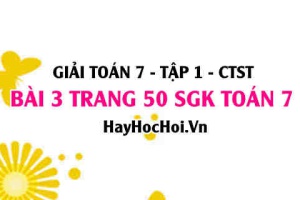 Giải bài 3 trang 50 Toán 7 Tập 1 SGK Chân trời sáng tạo